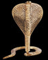 Brass Snake 0.52Kg